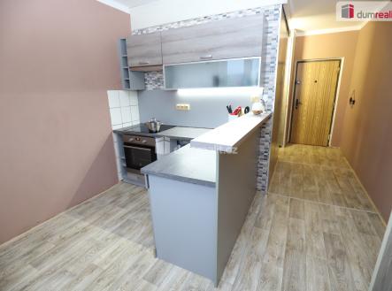 Pronájem bytu, 1+1, 41 m²