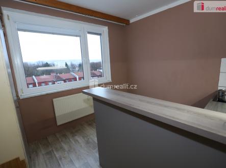 Pronájem bytu, 1+1, 41 m²