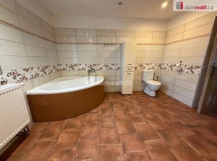 Prodej domu/vily, 285 m²