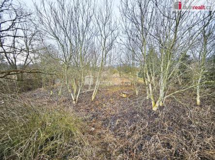 Prodej pozemku, zemědělská půda, 1 549 m²