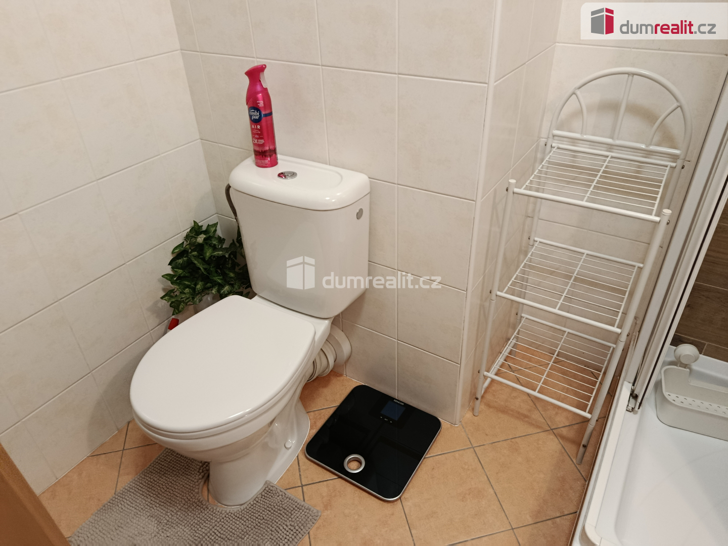 Fotku se nepodařilo načíst.