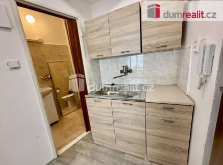 Pronájem bytu, 1+kk, 21 m²