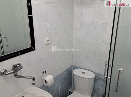 Pronájem bytu, 1+kk, 20 m²