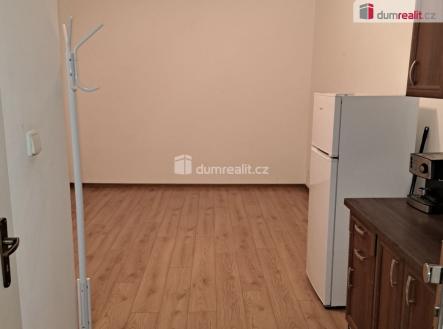 Pronájem bytu, 1+kk, 20 m²