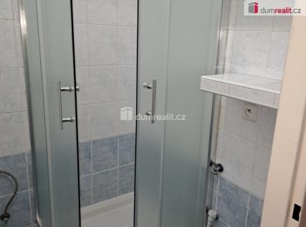 Pronájem bytu, 1+kk, 20 m²