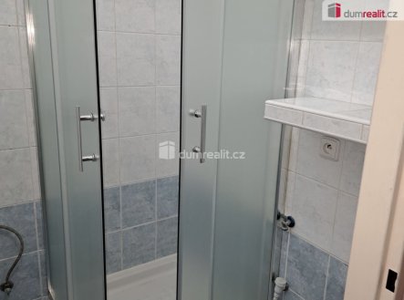 Pronájem bytu, jiný, 20 m², Praha – náhled fotky 2