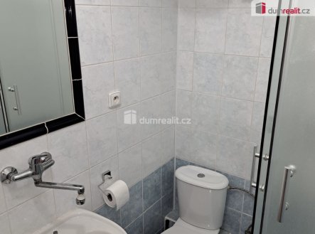Pronájem bytu, jiný, 20 m², Praha – náhled fotky 3