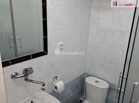 Pronájem bytu, jiný, 20 m², Praha – náhled fotky 4