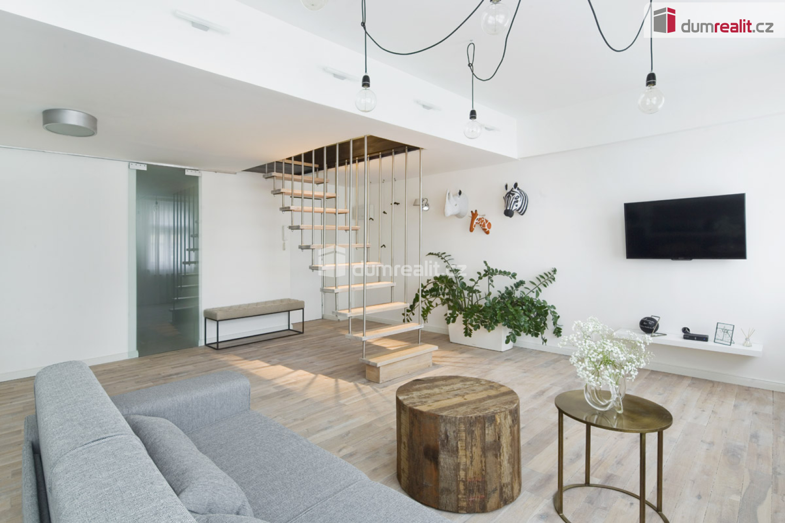 Fotku se nepodařilo načíst.