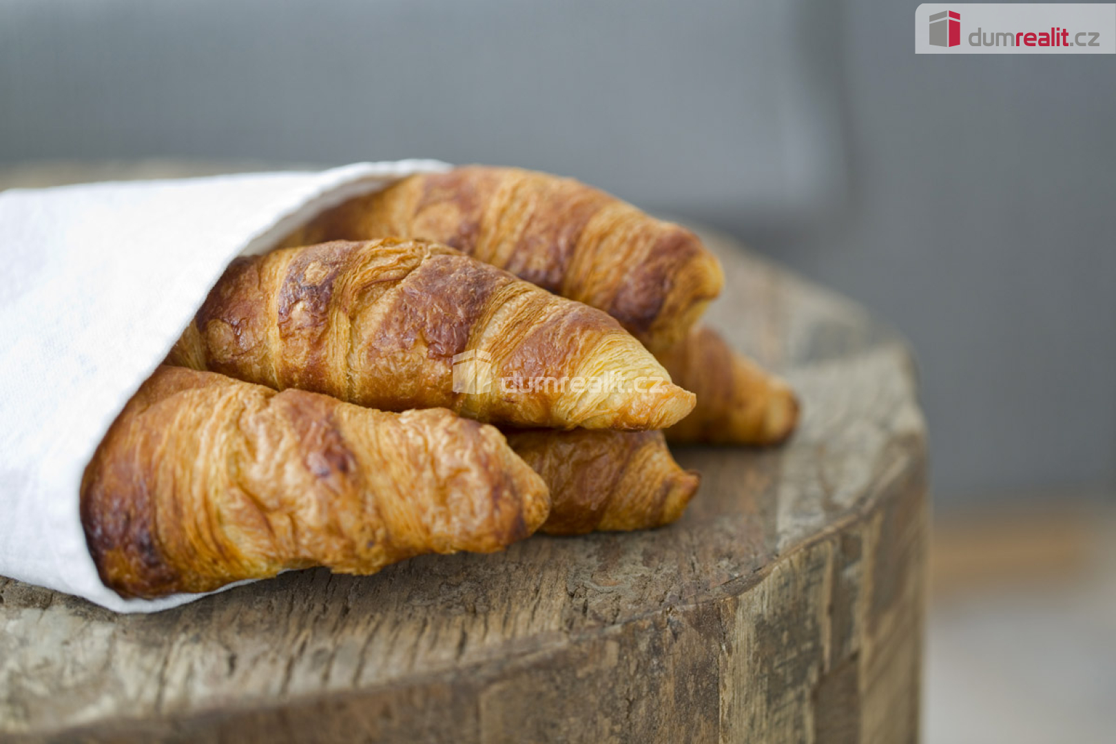 Fotku se nepodařilo načíst.