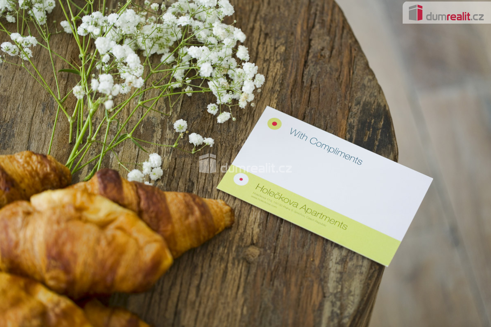 Fotku se nepodařilo načíst.