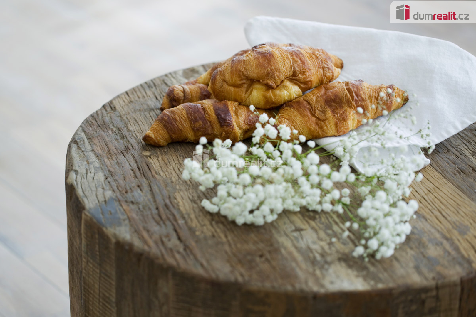 Fotku se nepodařilo načíst.