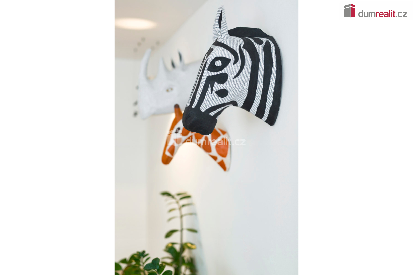 Fotku se nepodařilo načíst.