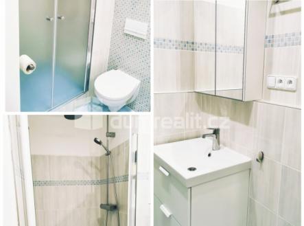 Pronájem bytu, 2+1, 54 m²