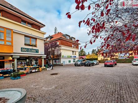 Pronájem bytu, 1+kk, 20 m²