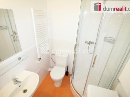 Pronájem bytu, 1+kk, 25 m²