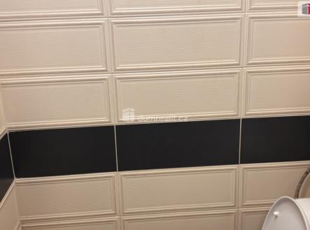 Pronájem bytu, 1+kk, 15 m²