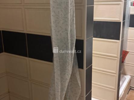 Pronájem bytu, 1+kk, 15 m²