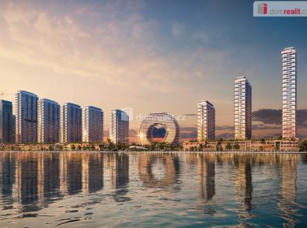 Orchid Casel de Paradise.