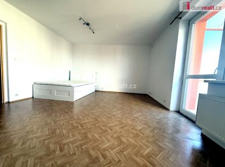 Pronájem bytu, 1+kk, 46 m²