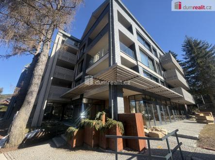 Prodej obchodní prostor, 45 m²