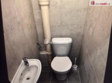 Pronájem bytu, 1+kk, 15 m²