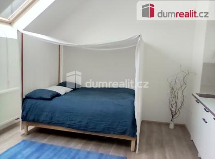 Pronájem bytu, 1+kk, 25 m²