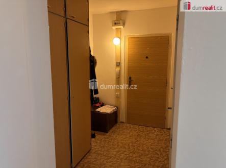 Pronájem bytu, 1+kk, 17 m²