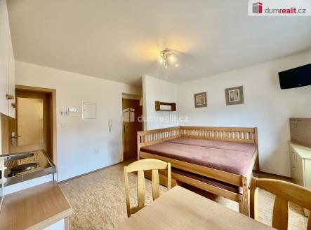 Pronájem bytu, 1+kk, 25 m²