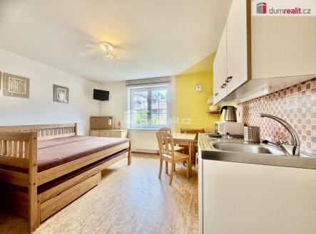 Pronájem bytu, 1+kk, 25 m²