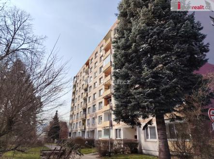 Pronájem bytu, 1+kk, 19 m²