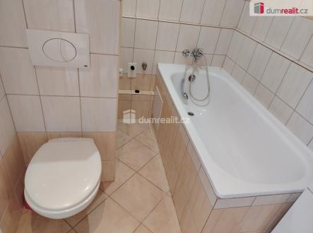 Pronájem bytu, 1+kk, 19 m²