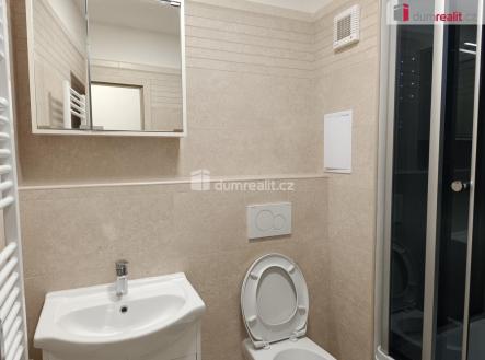 Pronájem bytu, 1+kk, 30 m²