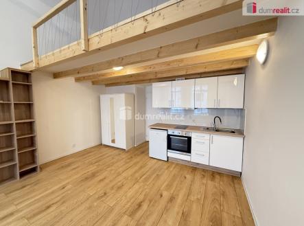 Pronájem bytu, 1+kk, 48 m²