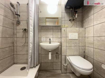 Pronájem bytu, 1+1, 30 m²