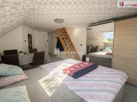 Prodej domu/vily, 304 m²