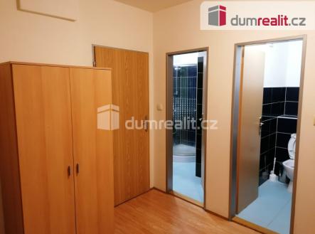 Pronájem bytu, 1+kk, 20 m²