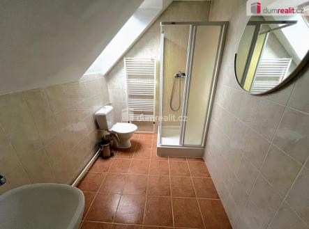 Pronájem bytu, jiný, 20 m²