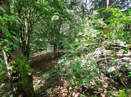 Prodej pozemku pro bydlení, 5 544 m²