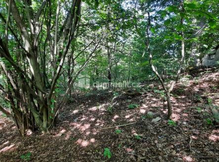 Prodej pozemku pro bydlení, 5 544 m²