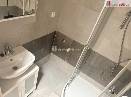 Pronájem bytu, 2+1, 53 m²