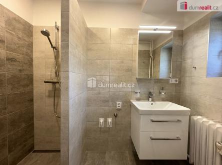 Pronájem bytu, 1+kk, 25 m²