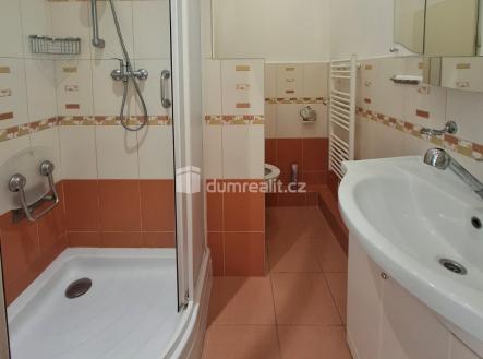 Pronájem bytu, 2+1, 48 m²