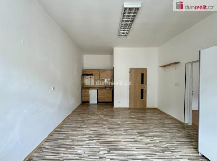 Pronájem bytu, 1+1, 55 m²