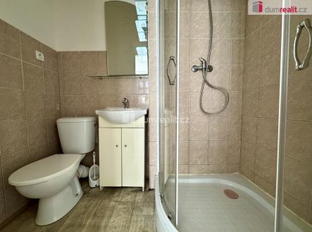 Pronájem bytu, 1+1, 55 m²