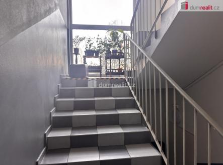 Pronájem bytu, 1+kk, 13 m²