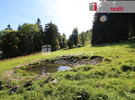 Prodej pozemku pro bydlení, 4 233 m²