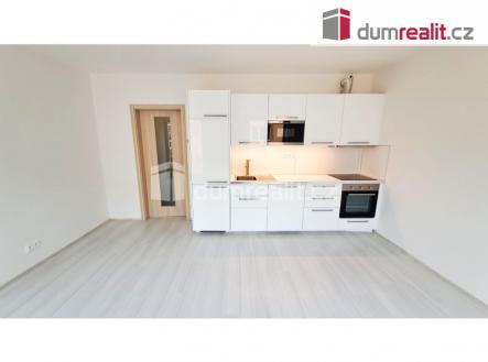 Pronájem bytu, 1+kk, 31 m²