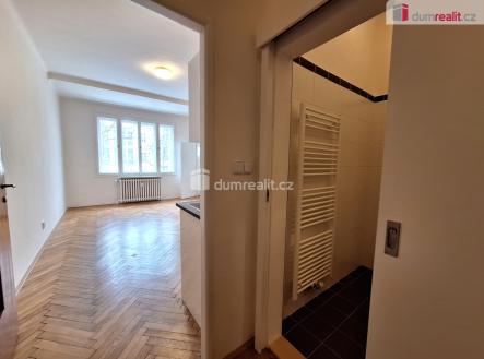 Pronájem bytu, 1+kk, 28 m²