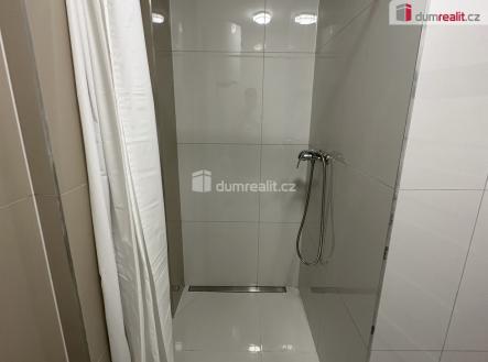 Pronájem bytu, jiný, 14 m²